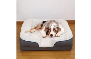 4305291 Wasch barer Luxus-Hund mit großem Bett, Eier schaum, preisgünstiger Großhandels preis