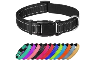 4305354 Taktisches Hunde halsband