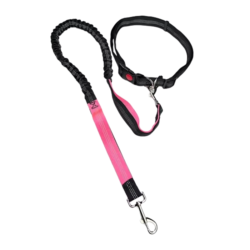 4305358 elastic running pet dog leash cheap price wholesale supplier