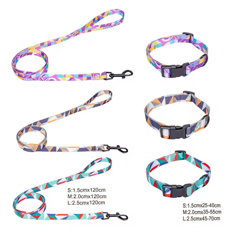 4305373 colorful dog collar and leash cheap price wholesale supplier