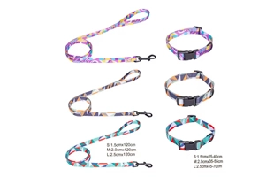 4305373 bunte Hunde halsband und Leine